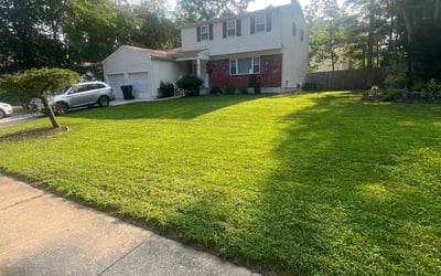 Photo of Demetria P.'s yard after getting lawn care in Berlin, NJ
