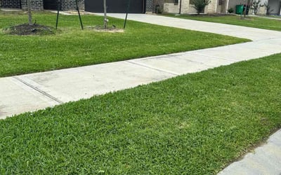 Photo of Catherine L.'s yard after getting lawn care in New York, NY