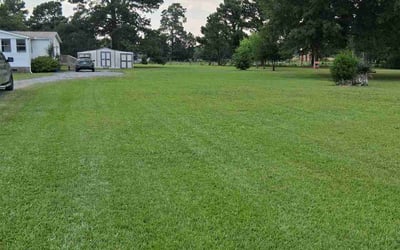 Photo of Samuel M.'s yard after getting lawn care in Arden, NC