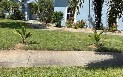 Photo of Kristina P.'s yard after getting lawn care in Merritt Island, FL