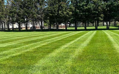 Photo of Kate & Dave S.'s yard after getting lawn care in Middletown, DE