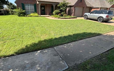 Photo of Jade A.'s yard after getting lawn care in Highland, IL