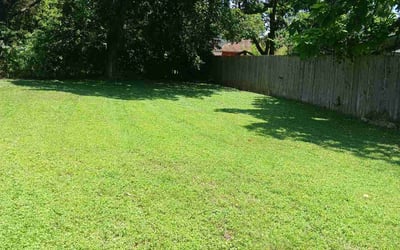 Photo of Chloe E.'s yard after getting lawn care in Smithville, TX