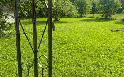 Photo of Paulina W.'s yard after getting lawn care in Flint, MI