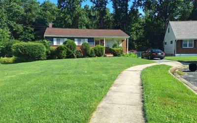 Photo of Cindy J.'s yard after getting lawn care in Oviedo, FL