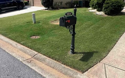 Photo of Rhiannon T.'s yard after getting lawn care in Cumming, GA