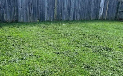Photo of Kelly G.'s yard after getting lawn care in Mill Valley, CA