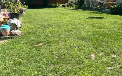 Photo of Mary P.'s yard after getting lawn care in Morris Plains, NJ