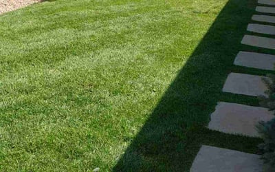 Photo of Paul F.'s yard after getting lawn care in Denver, CO