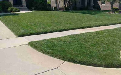 Photo of Tamila C.'s yard after getting lawn care in Wichita, KS