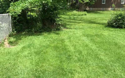 Photo of Holly H.'s yard after getting lawn care in Youngstown, OH