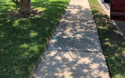 Photo of Charles Z.'s yard after getting lawn care in Charlottesville, VA
