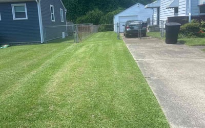Photo of Tom M.'s yard after getting lawn care in Brooklyn Park, MN