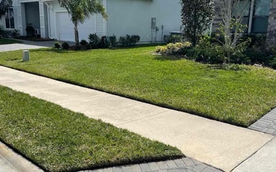 Photo of Wayne R.'s yard after getting lawn care in Buffalo, NY