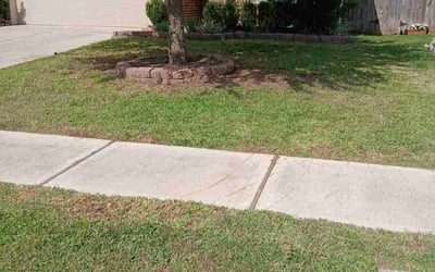 Photo of Carl m.'s yard after getting lawn care in Richmond, TX