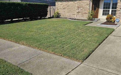 Photo of Jim n.'s yard after getting lawn care in Pearl River, LA