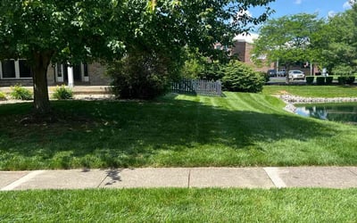 Photo of Myisha G.'s yard after getting lawn care in South Lyon, MI