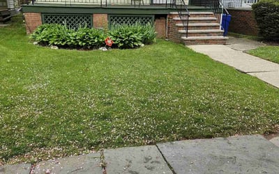 Photo of Julio E.'s yard after getting lawn care in Randolph, NJ