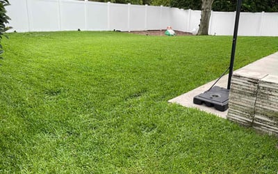 Photo of Cari P.'s yard after getting lawn care in Mims, FL