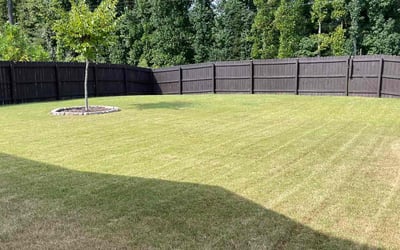 Photo of Angel H.'s yard after getting lawn care in Mableton, GA