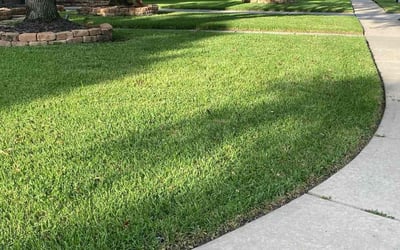 Photo of Stephanie M.'s yard after getting lawn care in La Marque, TX