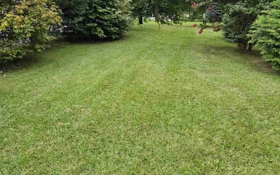 Photo of Jonathan B.'s yard after getting lawn care in Holmdel, NJ