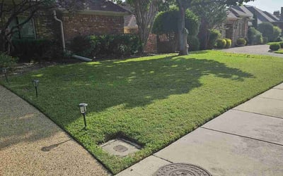 Photo of Leighton H.'s yard after getting lawn care in Dallas, TX