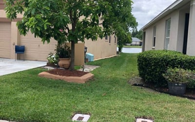 Photo of Ebony S.'s yard after getting lawn care in Valencia, CA