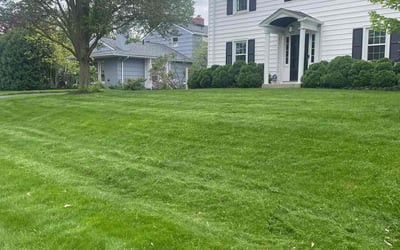Photo of Julia G.'s yard after getting lawn care in Worthington, OH