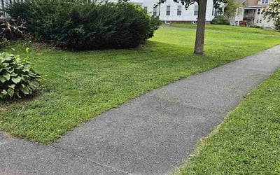 Photo of Timothy J.'s yard after getting lawn care in Westbrook, ME