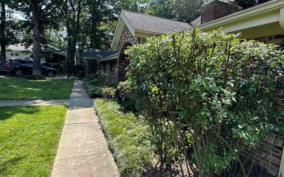 Photo of Jim C.'s yard after getting lawn care in Clifton, VA