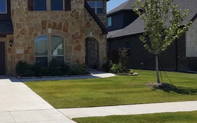 Photo of Karen R.'s yard after getting lawn care in Apache Junction, AZ
