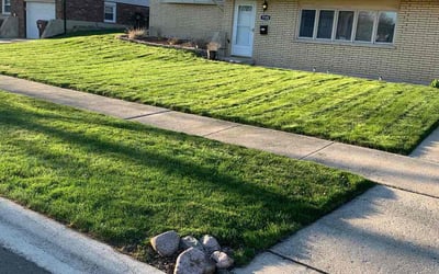 Photo of Denise T.'s yard after getting lawn care in Tinley Park, IL