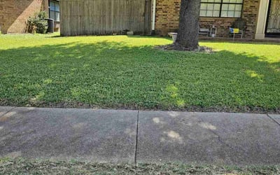 Photo of Michael M.'s yard after getting lawn care in Grand Prairie, TX