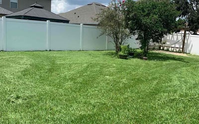 Photo of Antoinette F.'s yard after getting lawn care in Immokalee, FL