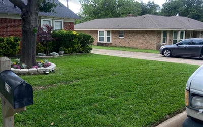 Photo of Grace O.'s yard after getting lawn care in Grand Prairie, TX