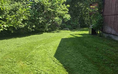 Photo of Malivia M.'s yard after getting lawn care in Newport News, VA