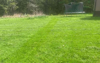 Photo of Ruben G.'s yard after getting lawn care in Hazleton, PA