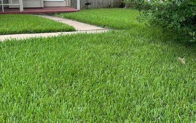 Photo of Juventino E.'s yard after getting lawn care in College Station, TX