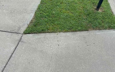 Photo of Emely G.'s yard after getting lawn care in Lawrence, MA