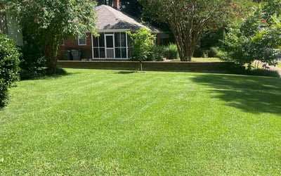 Photo of Gregory W.'s yard after getting lawn care in Memphis, TN
