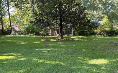 Photo of Christy K.'s yard after getting lawn care in Jonesboro, GA