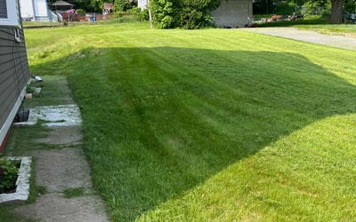 Photo of Sandy B.'s yard after getting lawn care in Mansfield Center, CT