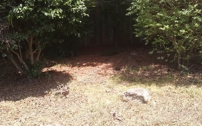 Photo of Marianna O.'s yard after getting lawn care in Charlottesville, VA