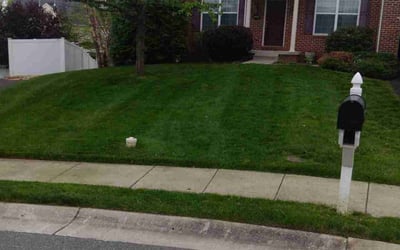 Photo of Lee F.'s yard after getting lawn care in Aspen Hill, MD