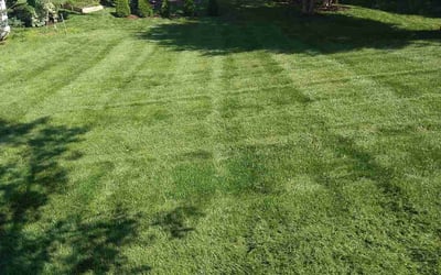 Photo of Joseph D.'s yard after getting lawn care in Liverpool, NY