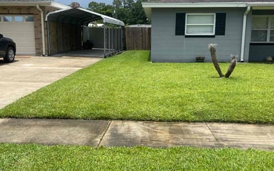 Photo of Jubal D.'s yard after getting lawn care in San Carlos, CA