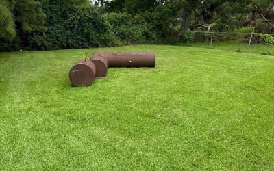 Photo of Kimberly G.'s yard after getting lawn care in Long Beach, MS