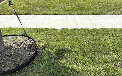 Photo of Shauna M.'s yard after getting lawn care in Gig Harbor, WA