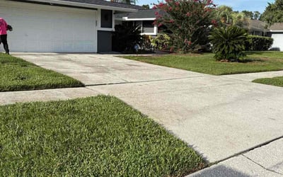 Photo of Elena Q.'s yard after getting lawn care in Sacramento, CA